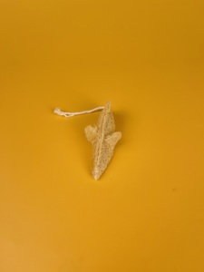 Natural <b>Loofah</b> Cat <b>Toy</b> Eco-Friendly <b>Pet</b> <b>Toy</b> for Cat Chewing, Playing & Teeth Cleaning | TH Global Vietnam - Product Image 3