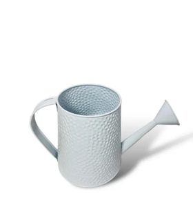 Arrosoir intérieur extérieur en métal galvanisé avec poignée ergonomique, grande capacité, bec long pour irrigation de pelouse de plantes de jardin - Product Image 1