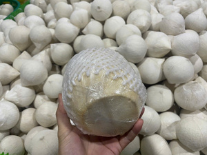 Coco joven y fresco de Vietnam-Sabor dulce, agua de coco rica, carne suave-Proveedor de calidad de exportación al por mayor a granel - Product Image 3