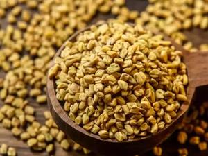 Fenugrec (Trigonella Foenum-graecum) Produit agricole Dana - Qualité supérieure naturelle Stock frais Origine Pakistan Durée de conservation 2-3 ans - Product Image 2