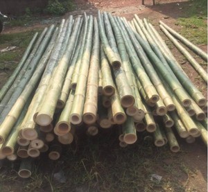 Postes de bambú tratado de tamaño personalizado para vallas y decoraciones de jardín al aire libre Particiones de bastones de materias primas - Product Image 3