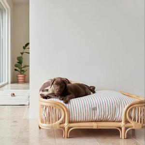 Muestra gratis de casa para mascotas de ratán, cama para perros y gatos, cálida y suave, MOQ bajo, fábrica en Vietnam, el mejor precio con buena calidad - Product Image 1