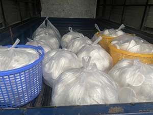 Leche de coco natural fresca o congelada en Vietnam de fabricante local con productos calientes de coco de precio barato - Product Image 5