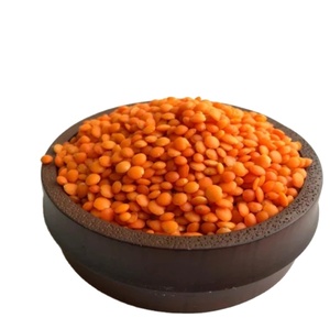 Lentejas Rojas orgánicas canadienses Lentejas divididas Calidad superior En stock Entrega rápida Compre hoy al precio al por mayor más bajo - Product Image 3