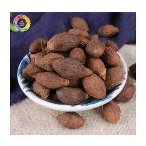 Nuez de Malva Seca Premium, Nuez de Malva de Vietnam, Semilla de Orangután Seca Scaphium macropodum, Nuez de Malva de Grado de Exportación - Product Image 4