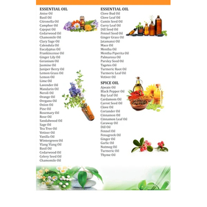 Vente chaude Quantité en vrac Excellente qualité 100% Huile d'herbe de gingembre pure et naturelle disponible au meilleur et à prix compétitif - Product Image 4