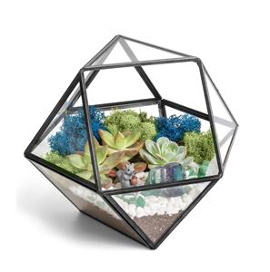 Excellent Quality Glass Terrarium For Decoration Best Selling Living Room or Dining Room Decoration Bulk Quantity Available. - Product Image 2