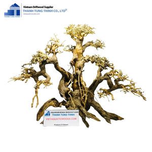 ไม้แคระบอนไซยั่งยืนสำหรับตกแต่งขายส่งผลิตในเวียดนาม - Product Image 5