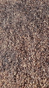 เมล็ดกาแฟธรรมชาติเกรด13-15% สำหรับใช้ในงานเกษตรผลิตภัณฑ์สำหรับเลี้ยงสัตว์ปุ๋ยอินทรีย์เกรดพรีเมี่ยมจากเวียดนาม - Product Image 4