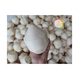 Premium Vietnam Diamond Cut Young Fresh Coconut Easy Open Pelado Bebida Artículo Ideal para exportación y distribución a granel - Product Image 1