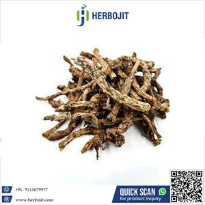 เฮอร์โบจิต อินเตอร์เนชั่นแนล ผงพิครอริซา คูโรโอ (คุตะกิ) ธรรมชาติ 100% 5 กก. คุณภาพ 100% อายุการเก็บรักษา 18 เดือน ขายดี ราคาถูก - Product Image 6