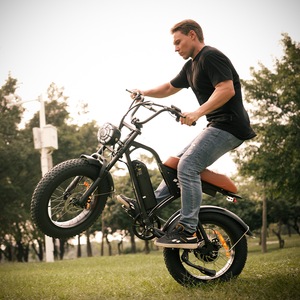 Bicicleta Eléctrica EB5Max de 20 Pulgadas con Llantas Gruesas, Batería de Litio de 48V, Motor en la Rueda Trasera, Estilo Vintage para Adultos - Product Image 2