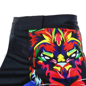 กางเกงมวยผู้ชายแบบสั่งทำได้กางเกงศิลปะการต่อสู้แบบซับลิเมชันทนทาน - Product Image 3