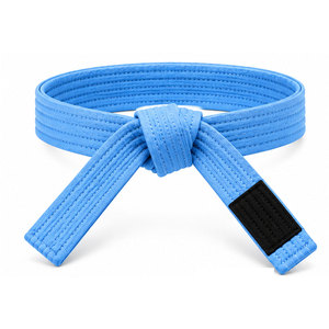Ceintures de karaté sur mesure en coton tissé de qualité supérieure, couleur personnalisable, pour accessoires d'uniformes en gros - Product Image 1