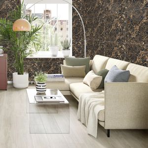 Trouvez les principaux fabricants de carreaux de porcelaine 60x60cm en Inde offrant des designs haut de gamme pour chaque projet carreaux d'aspect moderne - Product Image 1