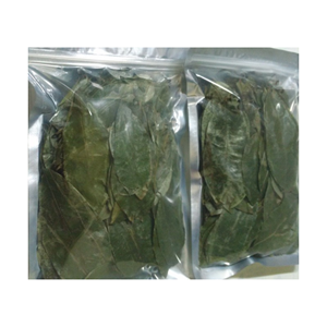 100% ธรรมชาติสดพืชป่าใบ guanabana ผลไม้ tisane ชา SOP แห้งสำหรับชา - Product Image 1
