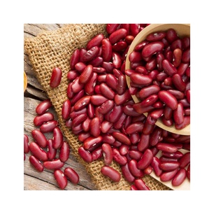 ถั่วแดงคุณภาพดีราคาถูกสำหรับส่งออก - Product Image 1