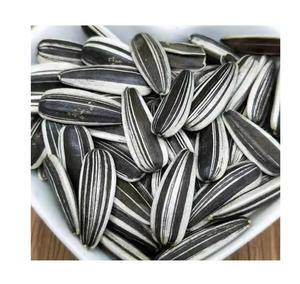 Graines de tournesol de qualité supérieure pour la consommation humaine, riches en protéines, en vrac, pour l'industrie alimentaire et des collations. - Product Image 4