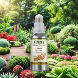 Dhaiti CO2 <b>Extract</b> High Quality Plant <b>Extract</b> Product - Product Image 5