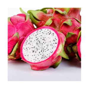 Suministro de fruta de dragón a granel para empresas de procesamiento de alimentos - Product Image 2