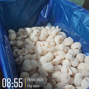 Litchis congelés du Vietnam de haute qualité pour les boissons, les smoothies, les desserts et la fabrication alimentaire - Product Image 2