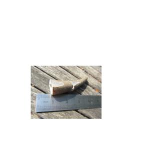 Pointes en corne de buffle et pointe en corne naturelle brute Corne naturelle de boeuf prête pour le chargement en gros meilleur emballage - Product Image 3