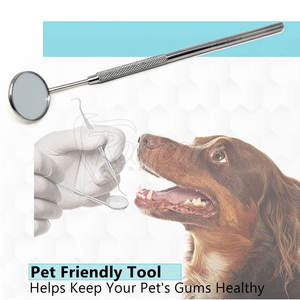 กระจกตรวจฟันความละเอียดสูงแบบฆ่าเชื้อได้ เครื่องมือตรวจทางทันตกรรมสำหรับทันตแพทย์ อุปกรณ์ดูแลช่องปากระดับมืออาชีพ - Product Image 6