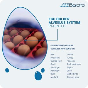 Borotto Real 49 Plus Expert Professional <b>Egg</b> <b>Incubator</b> - Digital, Automatic, Patented Design, Antibacterial, Made in Italy - Product Image 3