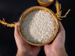 ข้าวเหนียวเวียดนามแตก10% จากเวียดนามราคาถูกคุณภาพสูงแบบแห้งโดยผู้ส่งออก Toan Phat - Product Image 5