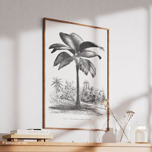 Impression sur toile d'art mural botanique de palmier bananier Illustration de plante tropicale moderne Décoration d'intérieur naturelle avec cadre en bois - Product Image 3