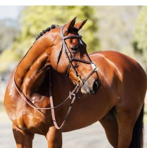 Bride d'équitation confortable en plein air dans le monde entier avec rênes en caoutchouc Style de selle occidentale pour le sport en plein air - Product Image 1