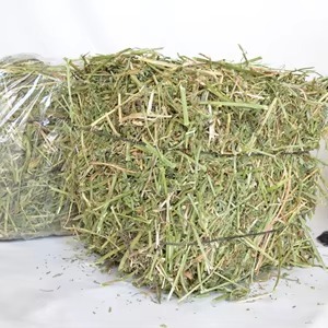 Pellets/cubos de heno de alfalfa Premium de alta calidad, Grado Alimenticio 100%, alto contenido en proteínas naturales, 2 años de vida útil, caballo, ganado, cerdo, pez, perro - Product Image 3