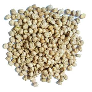 Fourniture en gros de pois chiches naturels en vrac de qualité supérieure de pois chiches secs purs pour l'industrie alimentaire au meilleur prix - Product Image 6