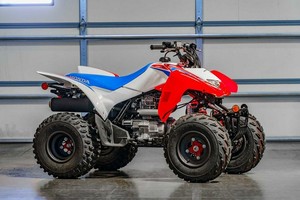 Achetez le véhicule utilitaire récréatif Hond1a TRX 250X 2026 avec garantie de 3 ans - Product Image 1
