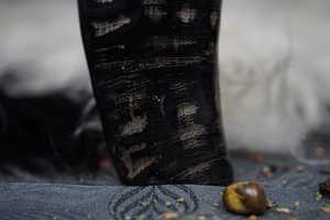 แก้ววิสกี้เขาควายฮอร์นหรือแก้ววิสกี้ฮอร์นแท้สไตล์วินเทจคุณภาพเยี่ยมสำหรับงานปาร์ตี้ฮอร์นแก้วช็อตสำหรับทุกการใช้งานจาก HWC - Product Image 5