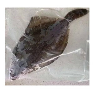 Pescado Plaice Congelado Entero y en Filetes - Proveedor Mayorista de Pescado Plaice - Product Image 1