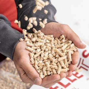 Briquettes de bois de chêne de qualité supérieure granulés en vrac à vendre - Product Image 5