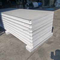 Panel de Pared Sándwich con Aislamiento Térmico de 100 mm de Espesor, Material de Construcción Ligero para la Construcción de Almacenes