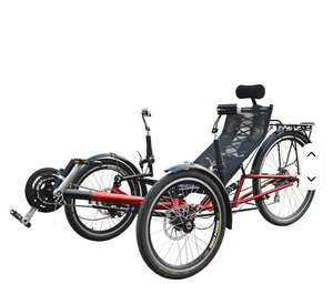 Triciclo Reclinado Plegable CHART TOPPING Tadpole Delta Style de 24 Velocidades, Personalizable - Product Image 3