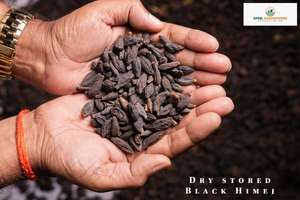 Hierbas naturales de fruta seca Harad Choti Khala orgánicas de alta calidad Terminalia Chebula Bal Hirda Himaj directamente de la India - Product Image 2