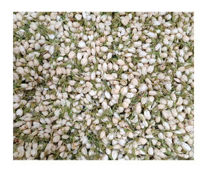 Bourgeons de jasmin séchés-100% fleurs de jasmin blanc bio sain - Product Image 3