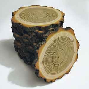 Polished Round Wood Slices Coasters Natural Bark Edge Rustic Design-Customizable Modern Drink Coasters for <b>Table</b> Decor Event Use - Product Image 3