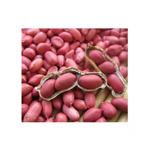 100% cacahuetes Jumbo orgánicos naturales cacahuetes y frutos secos crudos sin cáscara - Product Image 3