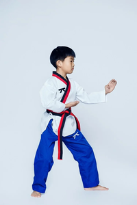 Jiu jitsu kimono Firmway nuevo uniforme de Taekwondo para niños principiantes ropa de entrenamiento profesional de manga larga - Product Image 5