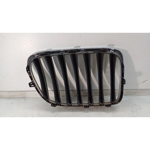 Rejilla Decorativa Izquierda para BMW Serie X1 (E84) 51112993305 N47D20C (09>15) - Product Image 2