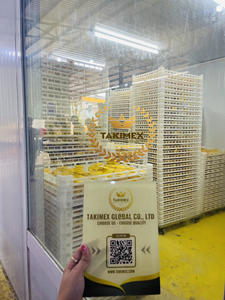 2024 nuevo cultivo orgánico 100% mangos naturales de secado suave de Vietnam delicioso aperitivo tropical en embalaje a granel con cremallera - Product Image 6