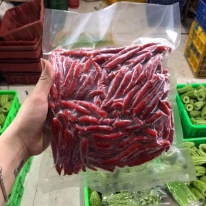 Piment rouge sans tige frais et surgelé du Vietnam, nouvelle récolte, poivre long cultivé en serre, procédé IQF, qualité supérieure - Product Image 3