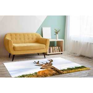 Printed <b>Rug</b>: Farmhouse <b>Rugs</b>, Personalized Gifts <b>Rug</b>, Housewarming Gift <b>Rugs</b>,<b>Chenille</b> <b>Rug</b> - Product Image 4