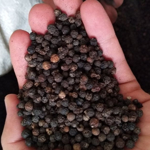 BLACKPEPPER 50kg PP Bag Producto agrícola con 2 años de vida útil Star Laboratories de Indonesia - Product Image 1