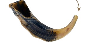 Shofar de Cuerno de Carnero Hecho a Mano, Pulido, Artesanía Natural de la India por Faizacraft - Product Image 3
